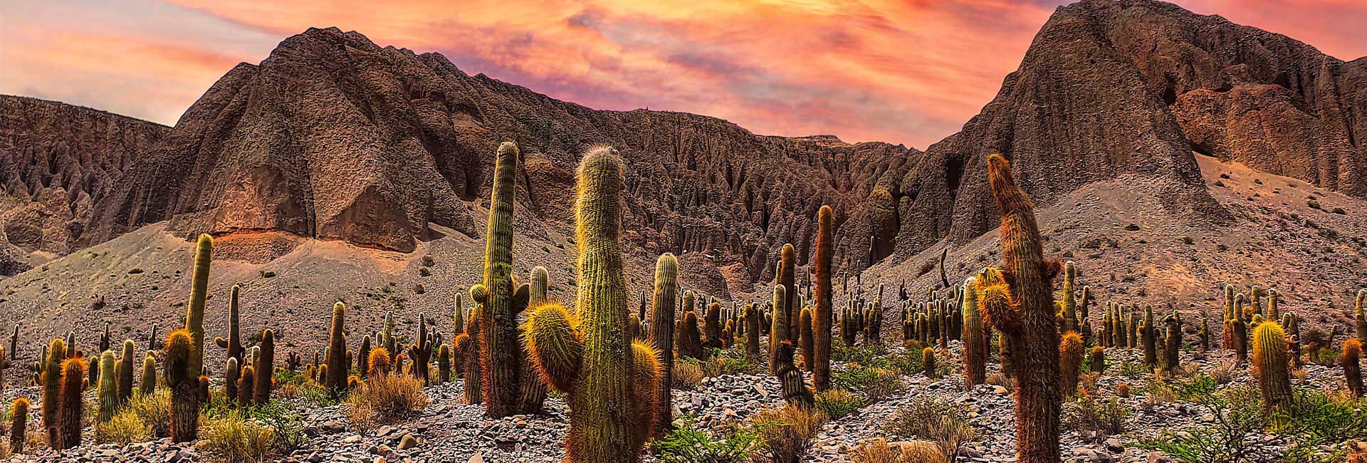 Salta y Jujuy 