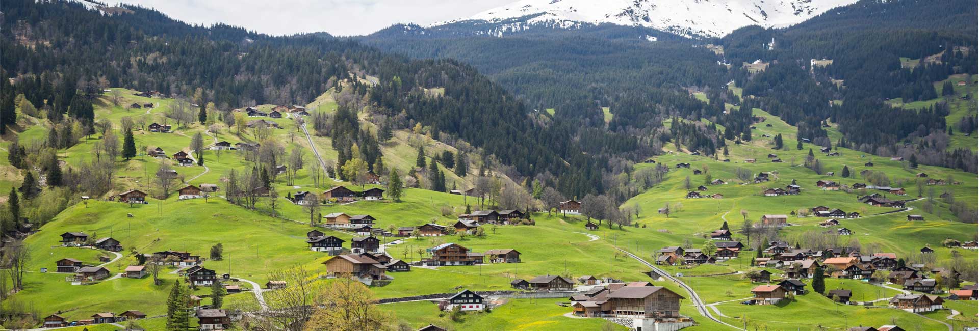 SUIZA, BAVIERA Y SELVA NEGRA